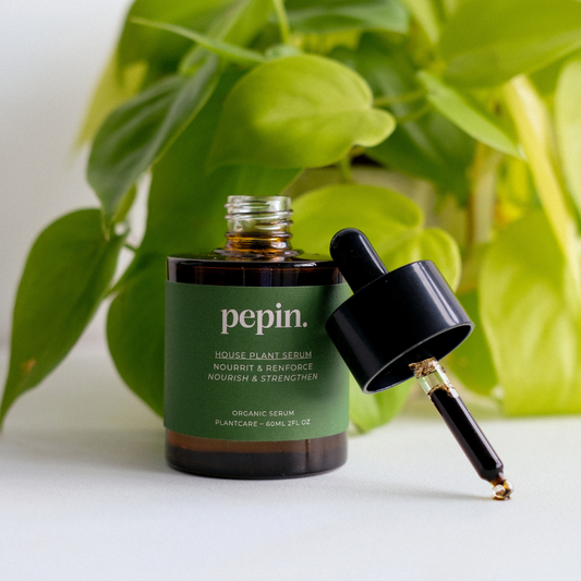 Engrais pour plantes d'intérieur | 60 ml