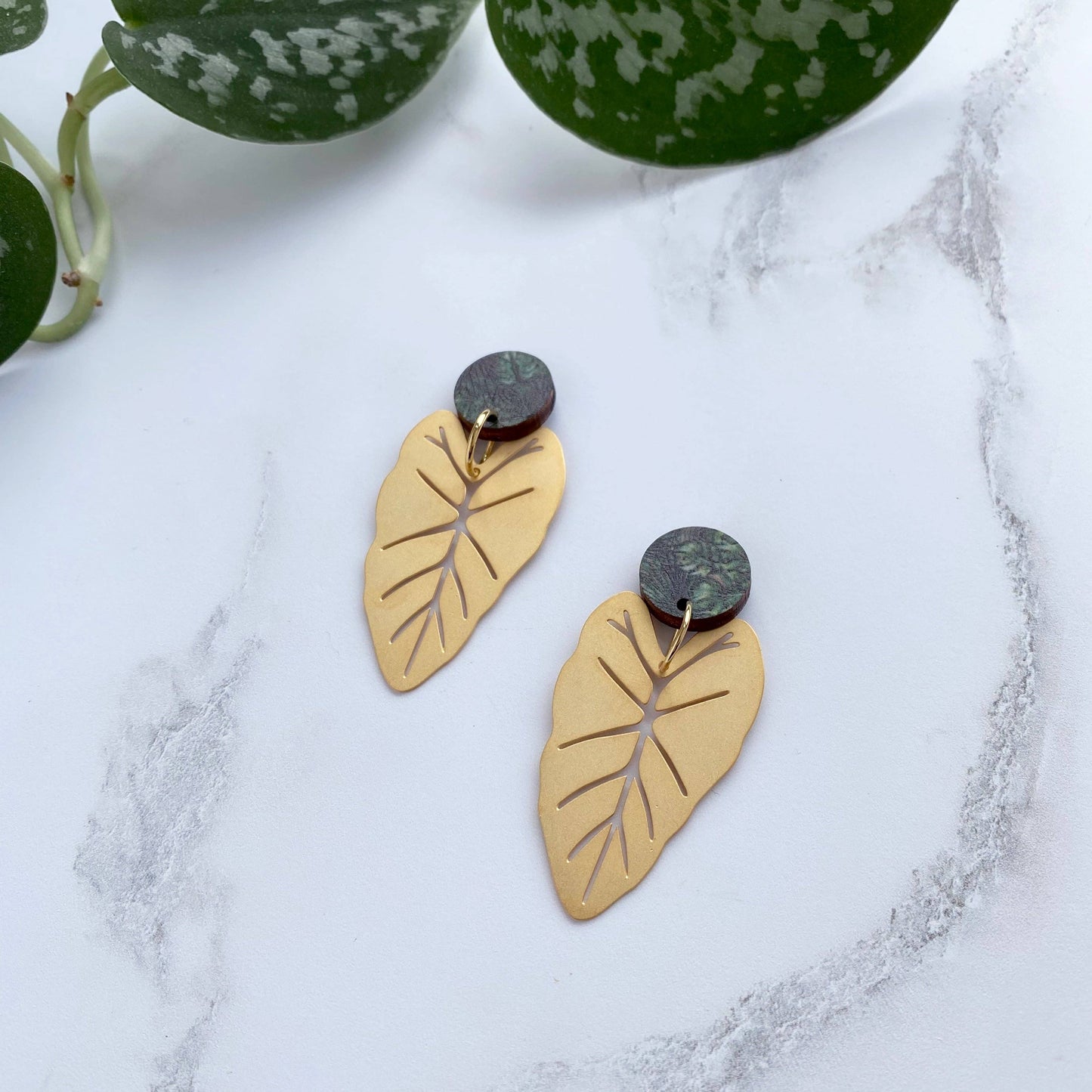 ALOCASIA OHRRINGE | GOLD