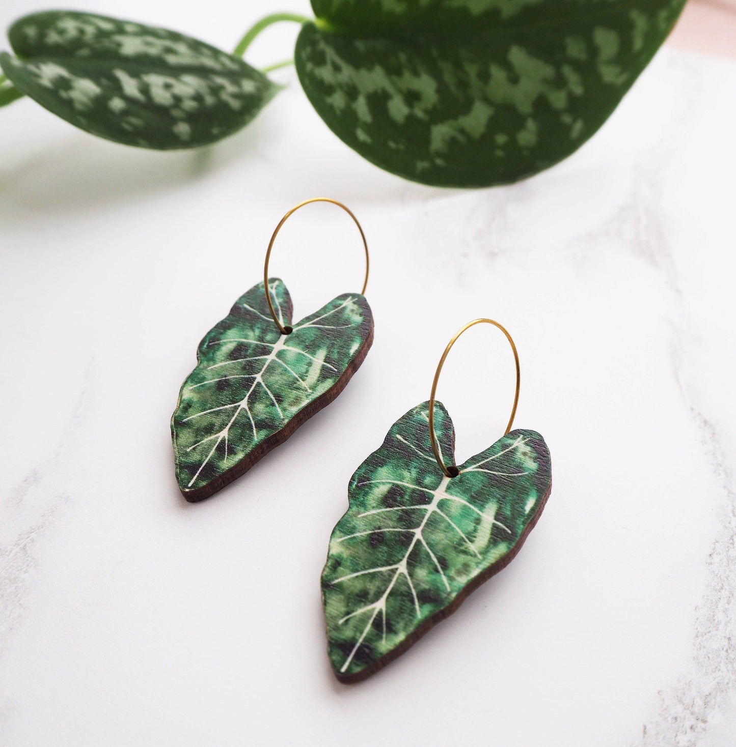 ALOCASIA CREOLEN GREEN | GOLD