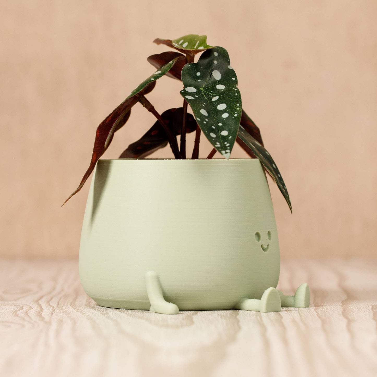 POT DE FLEURS POT HEUREUX | VERT SAUGE