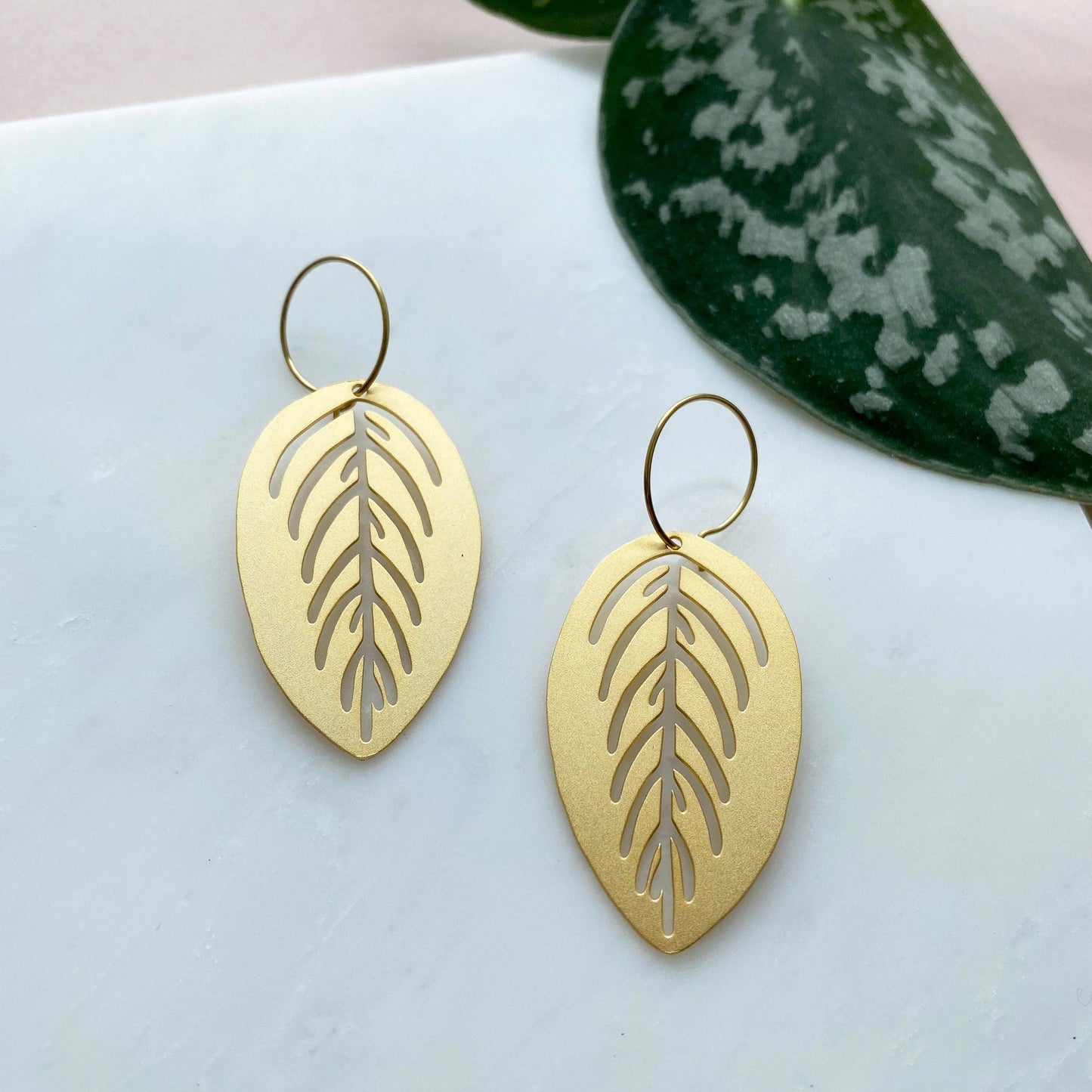 MARANTA CREOLEN | GOLD