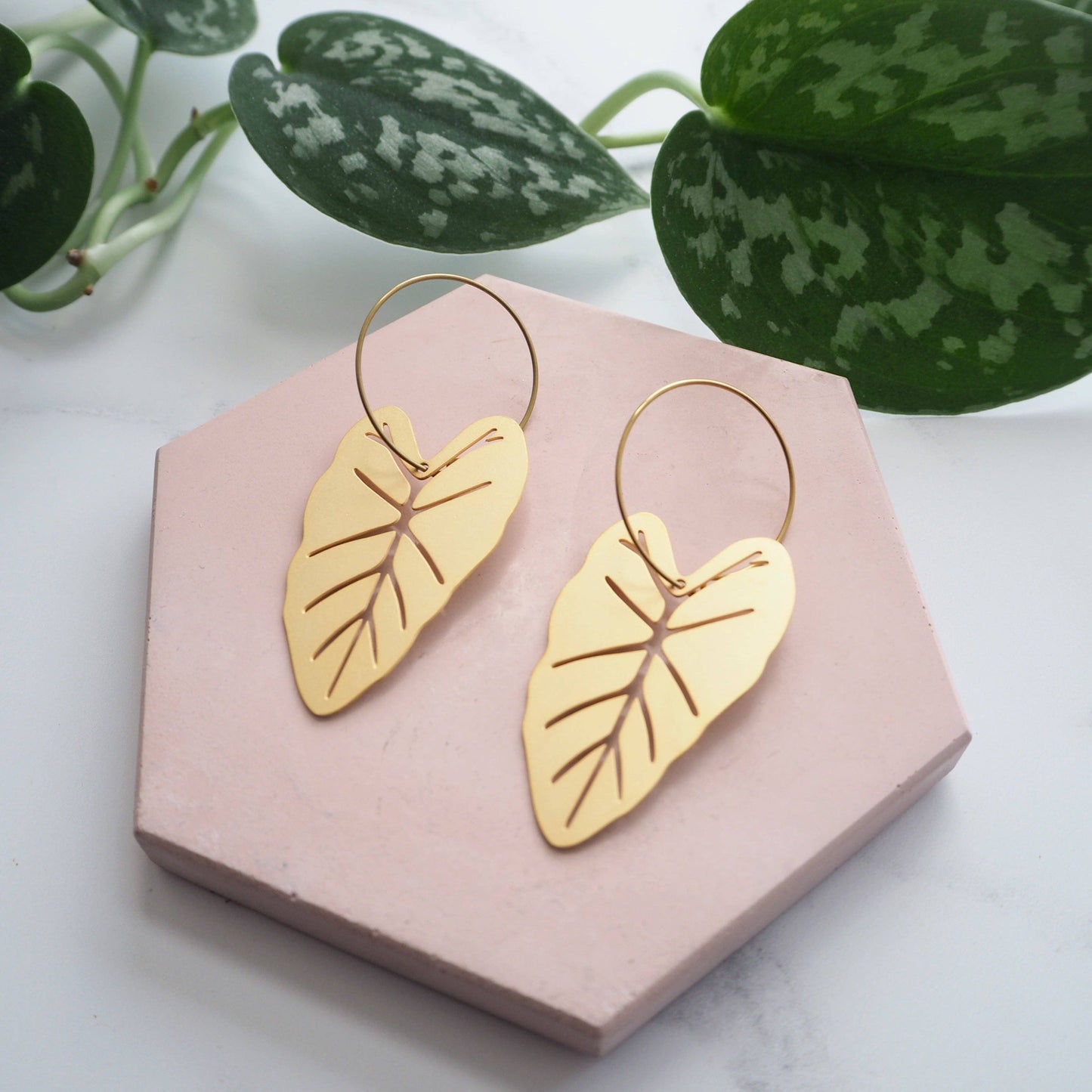 ALOCASIA CREOLEN | GOLD