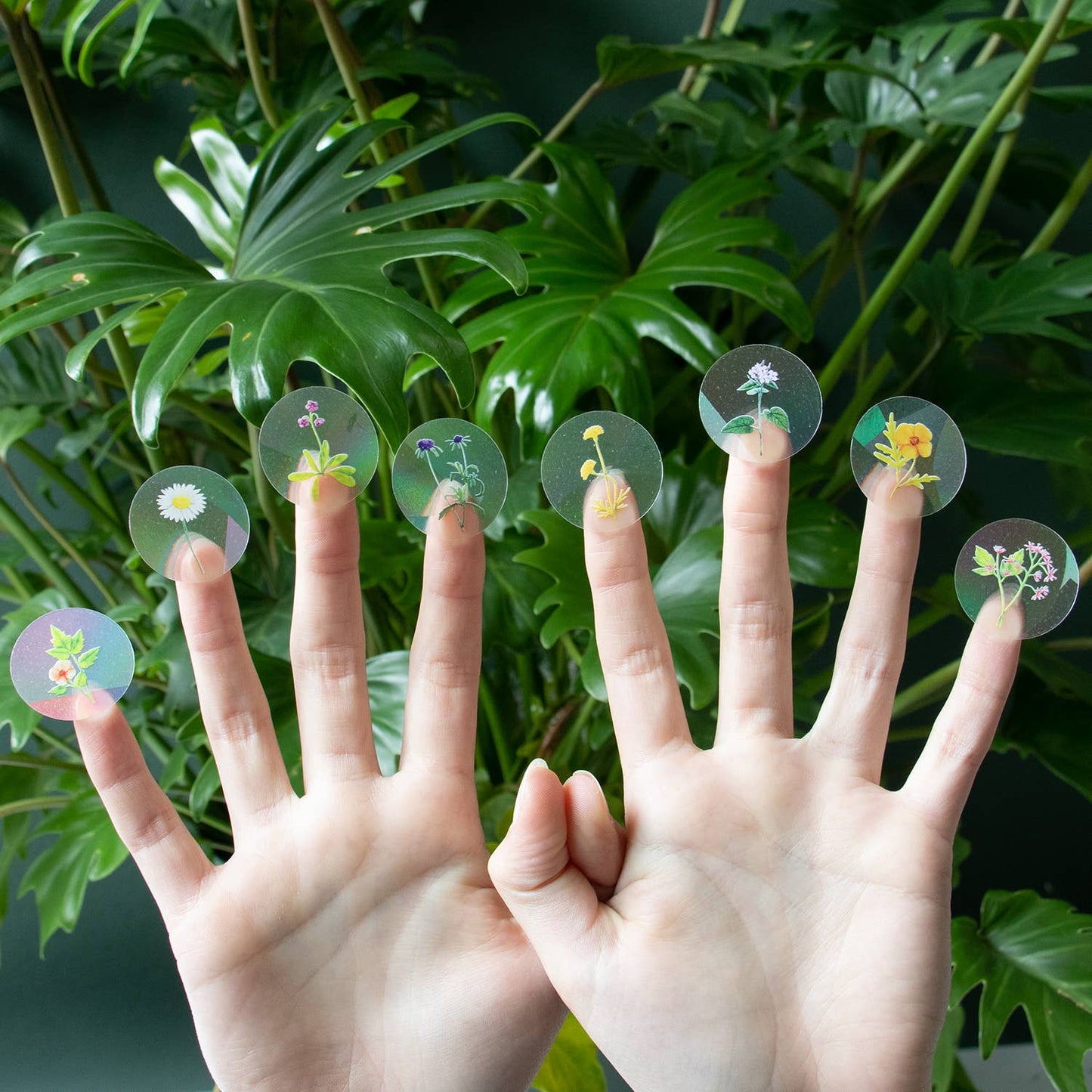 8 MINI WILDBLUMEN STICKER | Suncatcher Sticker für Regenbögen