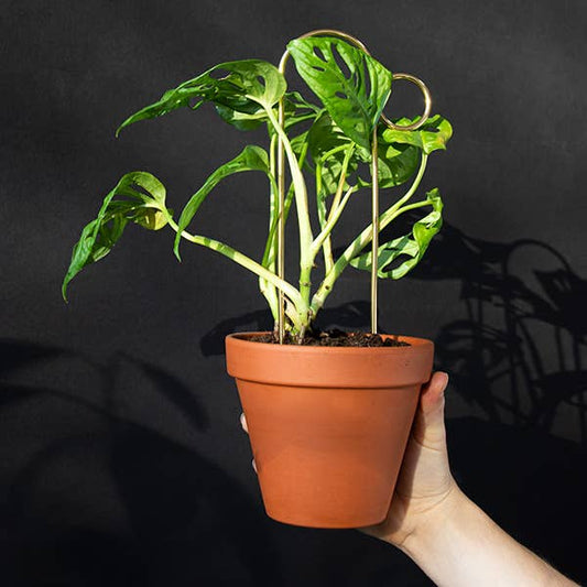 BUMP | Support à plantes doré en métal inoxydable, hauteur 30 cm