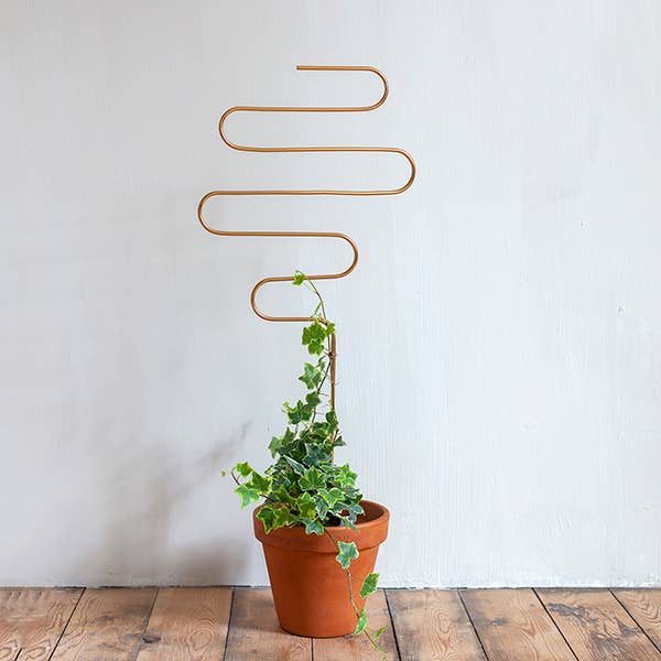 SQUIGGLE | Goldener Rankstab XL