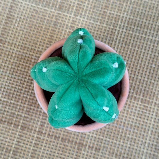 Cactus en peluche | Plante en peluche