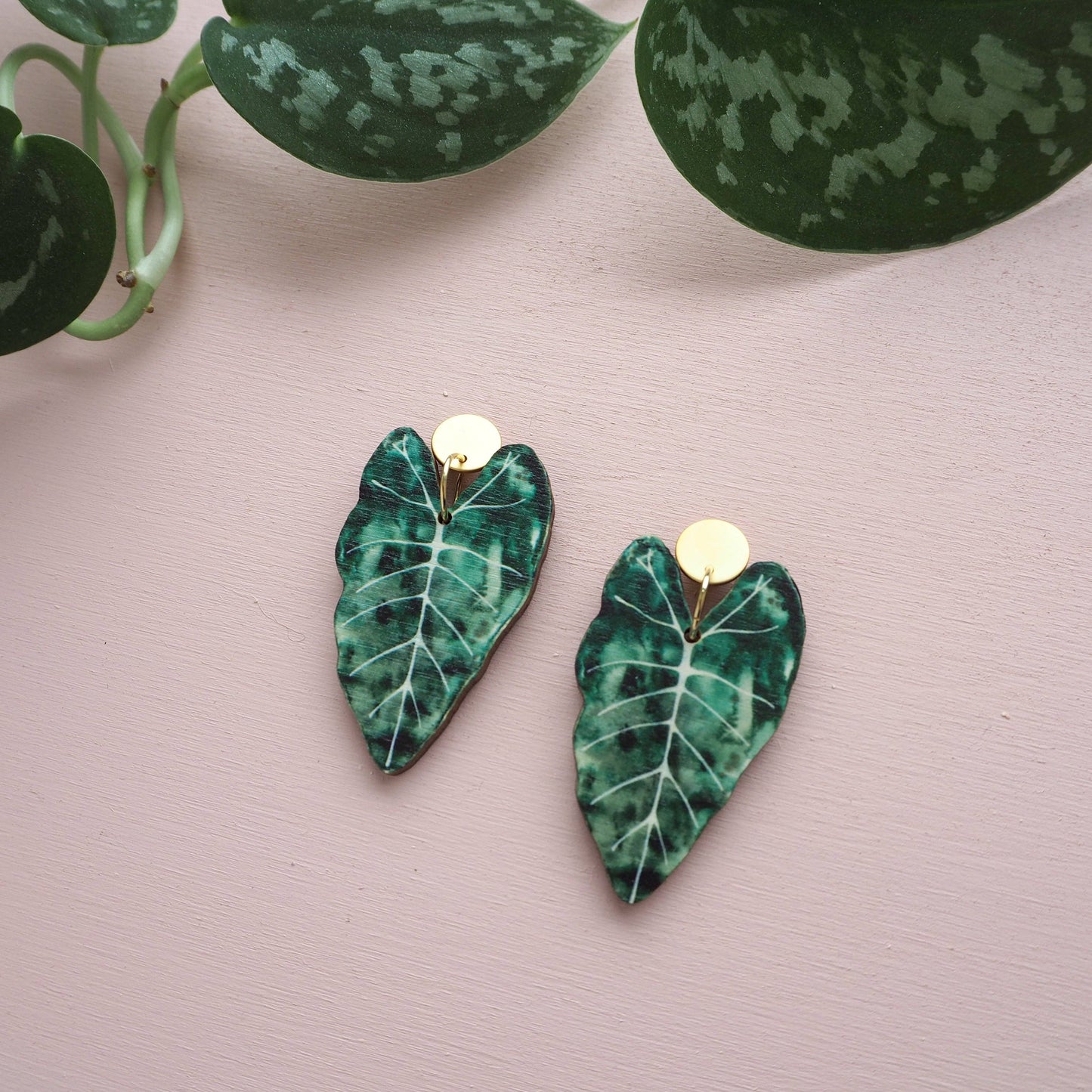ALOCASIA OHRRINGE GREEN | GOLD