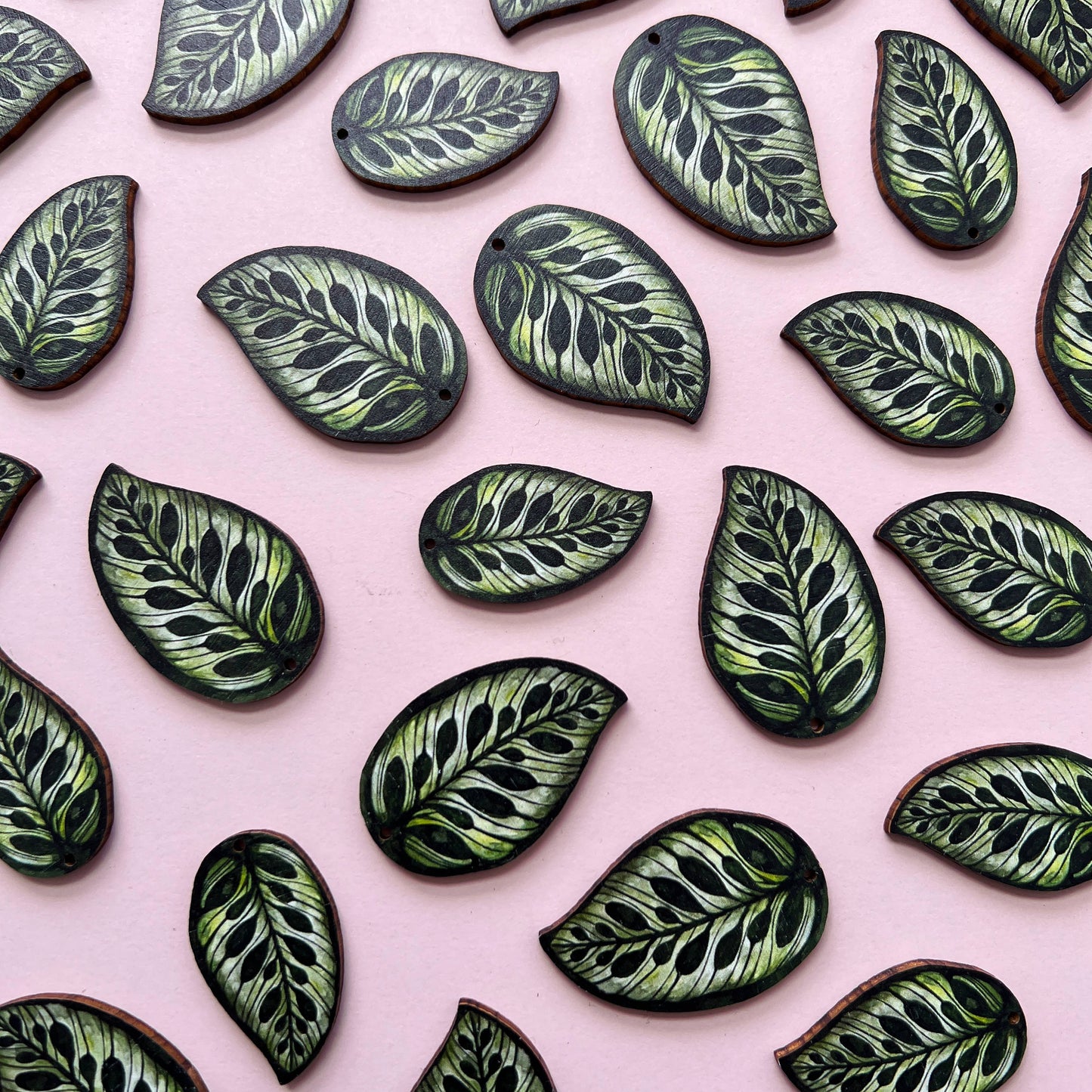 CALATHEA MAKOYANA OHRRINGE GREEN | GOLD