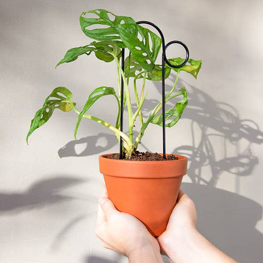 BUMP | Black trellis stake made of stainless metal, height 30cm