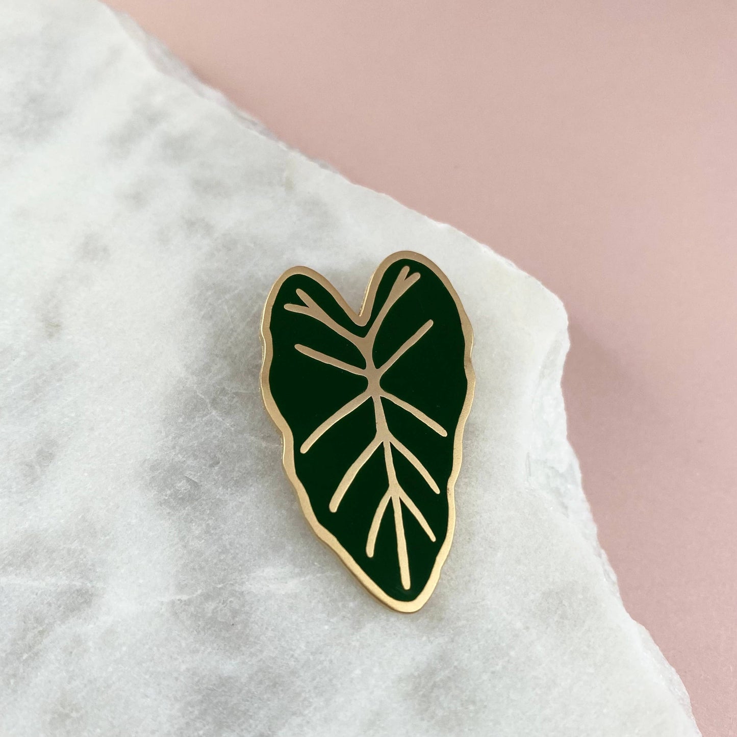 ALOCASIA | Plant Pin