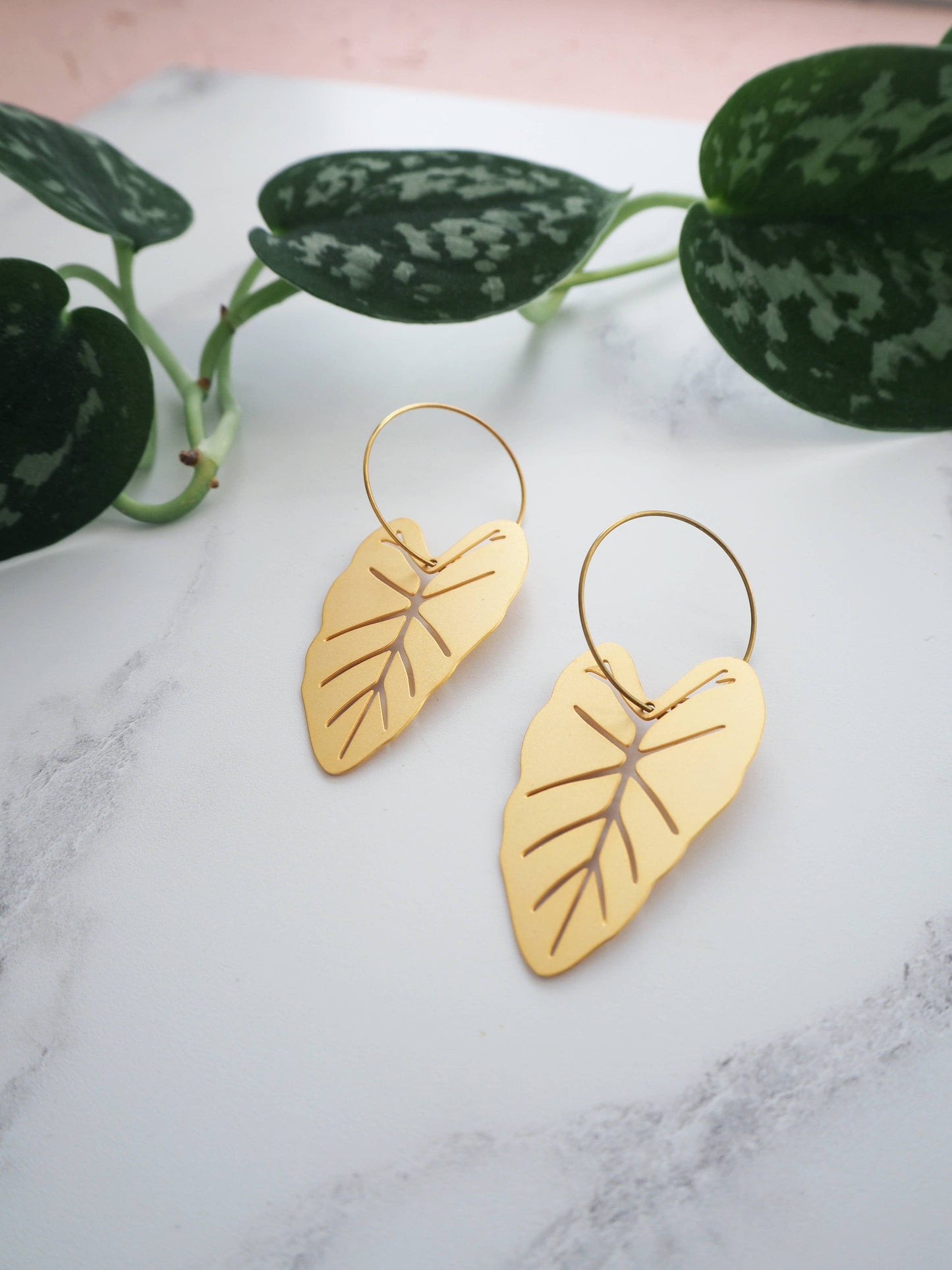 ALOCASIA CREOLEN | GOLD