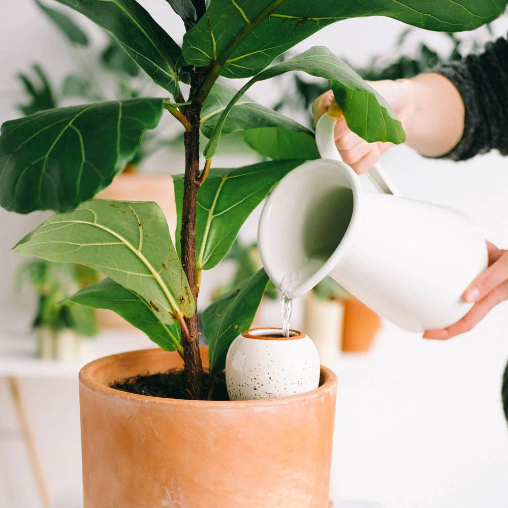 NATURE & SPRINKLED DUO | 2er Set Olla Wasserspender