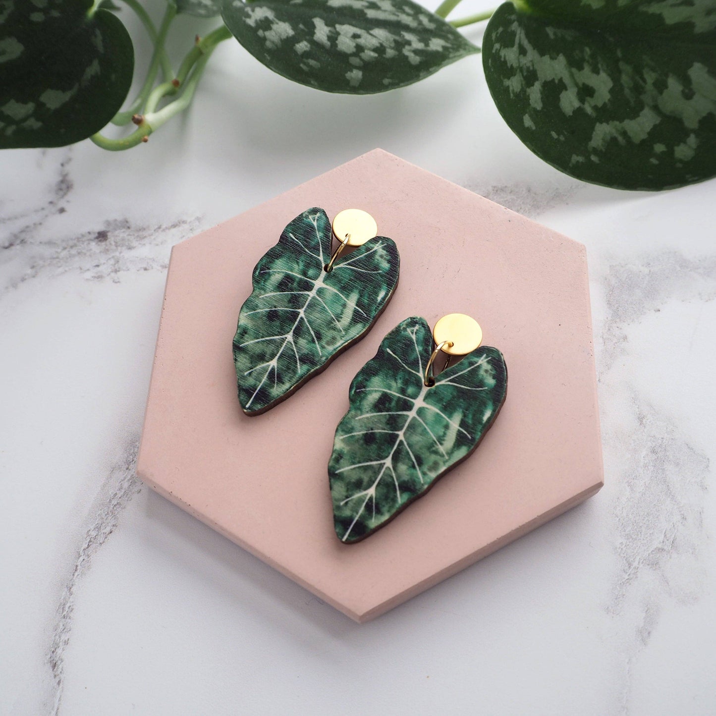 ALOCASIA OHRRINGE GREEN | GOLD