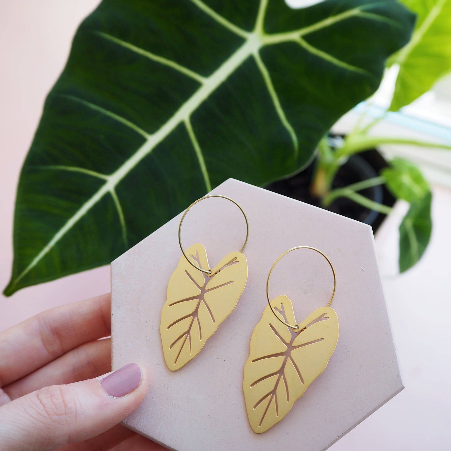 ALOCASIA CREOLEN | GOLD