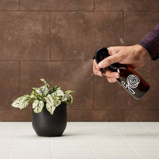 HUILE DE NEEM | Lutte antiparasitaire naturelle à la lavande 50 ml