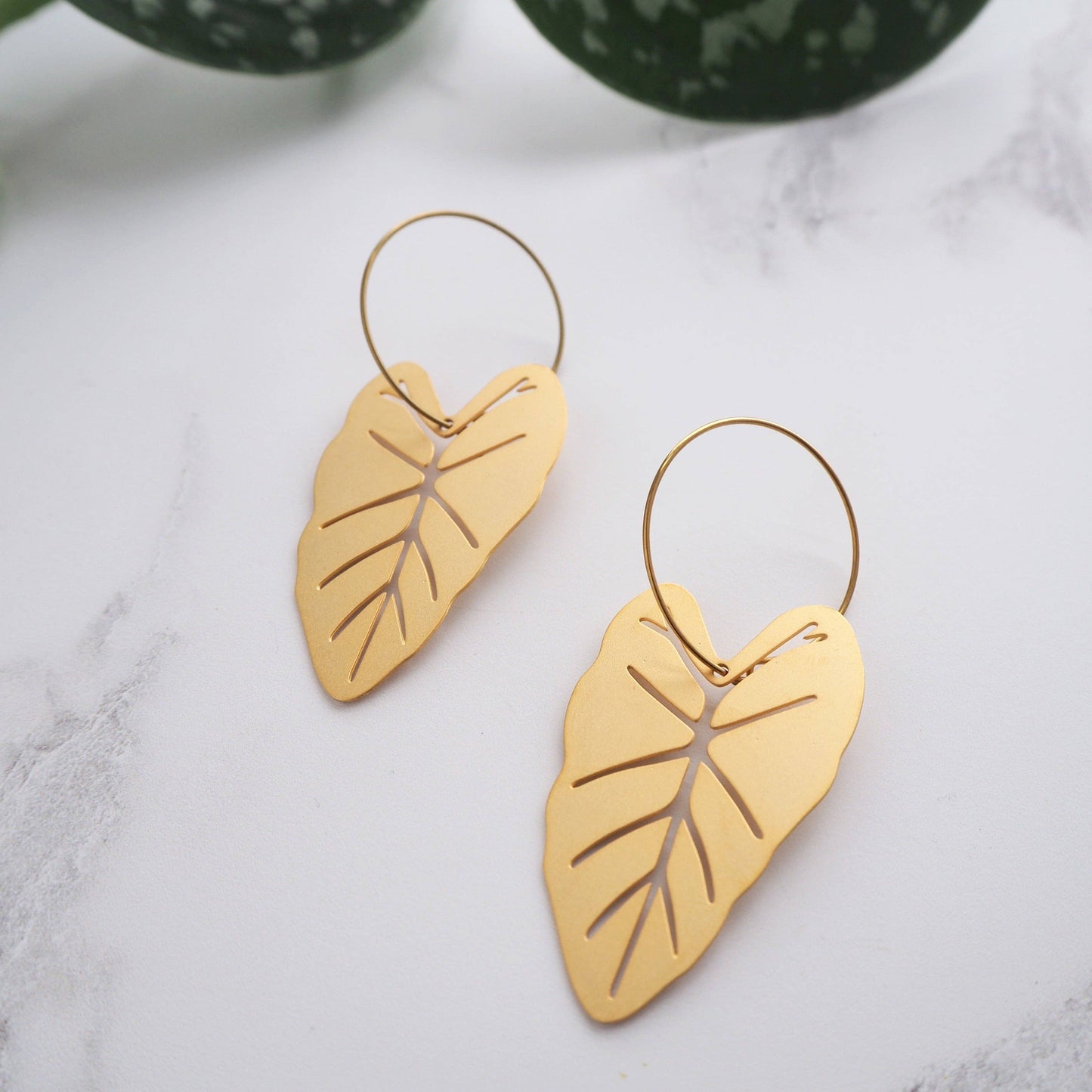 ALOCASIA CREOLEN | GOLD