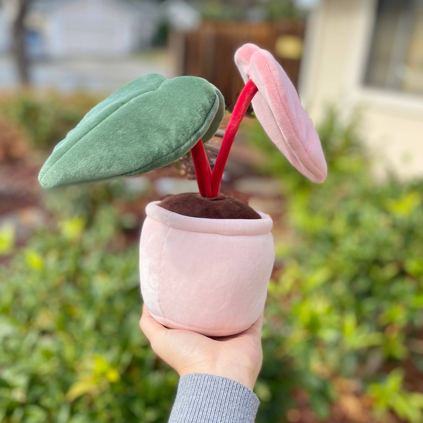 PHILODENDRON PINK PRINCESS | Stuffed plant toy