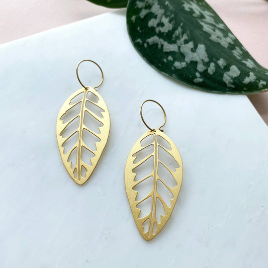 BOUCLES D'OREILLES CRÉOLES CALATHEA ZEBRINA | OR