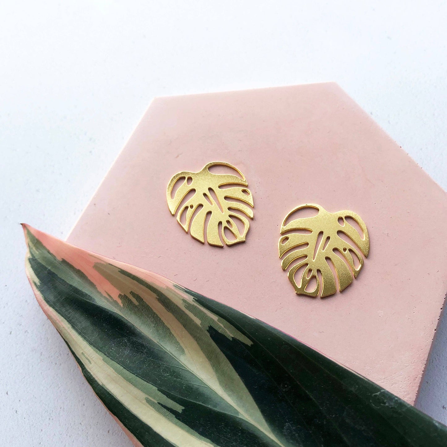 MONSTERA OHRSTECKER | GOLD