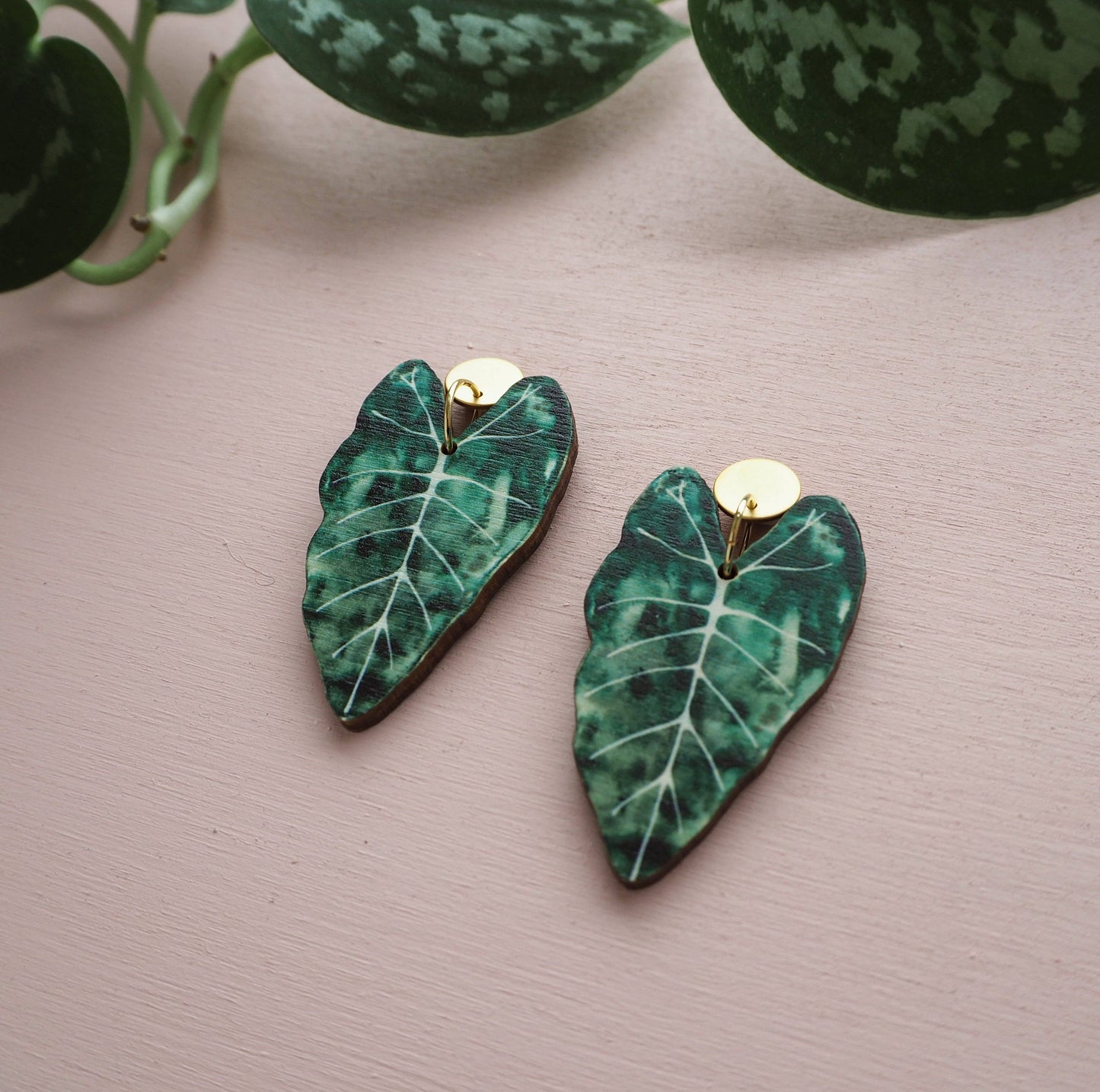ALOCASIA OHRRINGE GREEN | GOLD