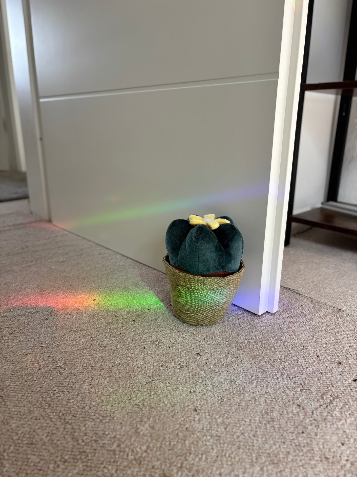 KARL KAKTUS | Pflanzen Türstopper