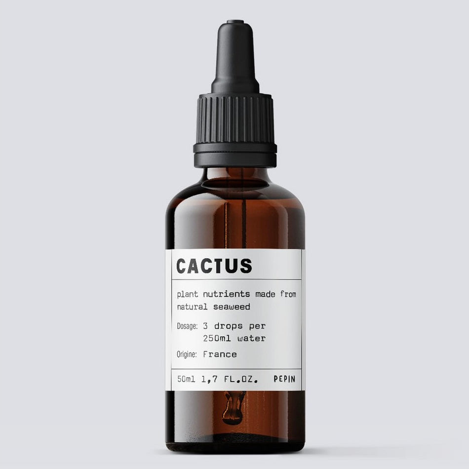 ENGRAIS POUR CACTUS ET SUCCULENTS