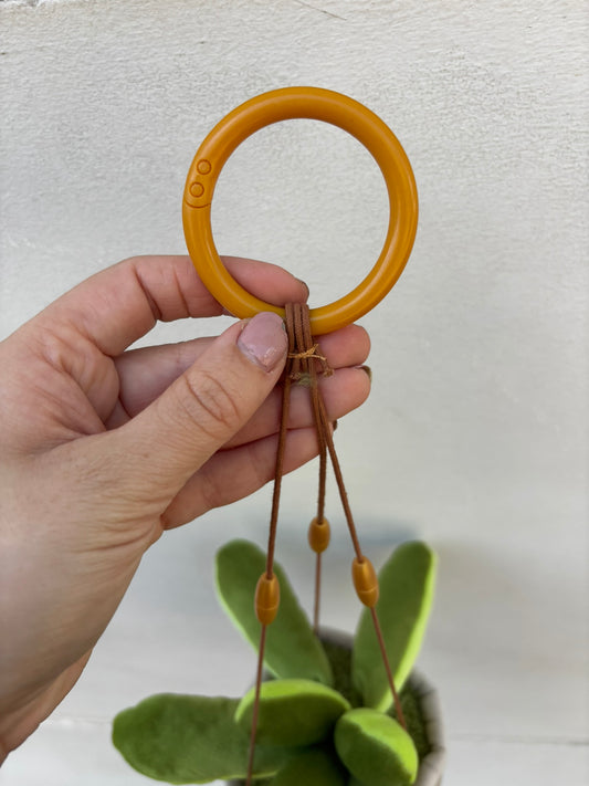 LASSE | Sukkulente Plüschpflanze in der Blumenampel