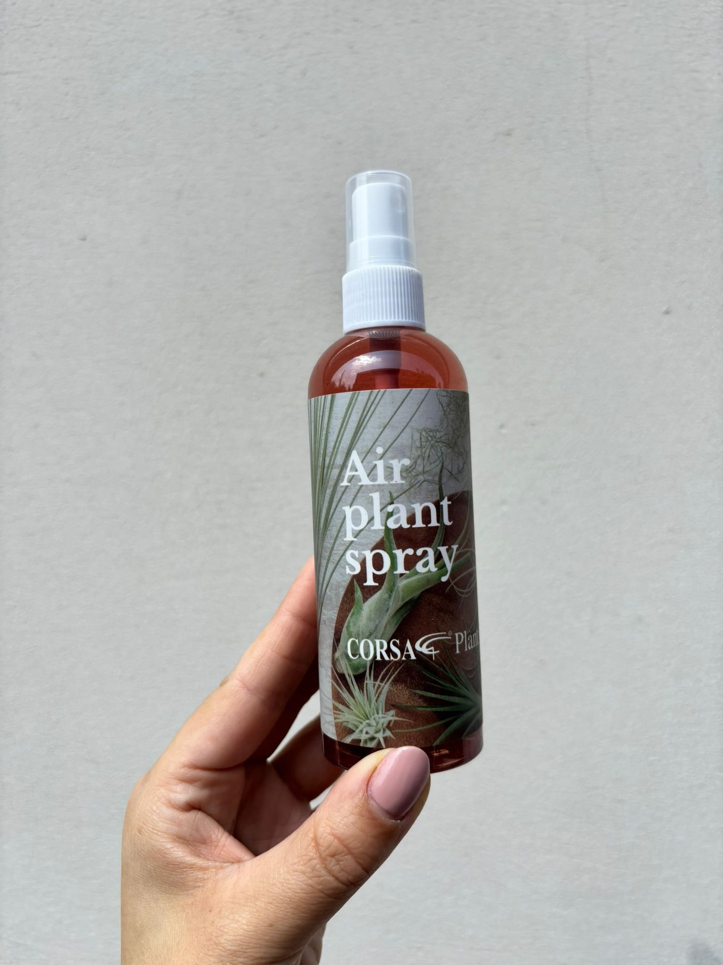TILLANDSIA SPRAY | Fertilizer for air plants