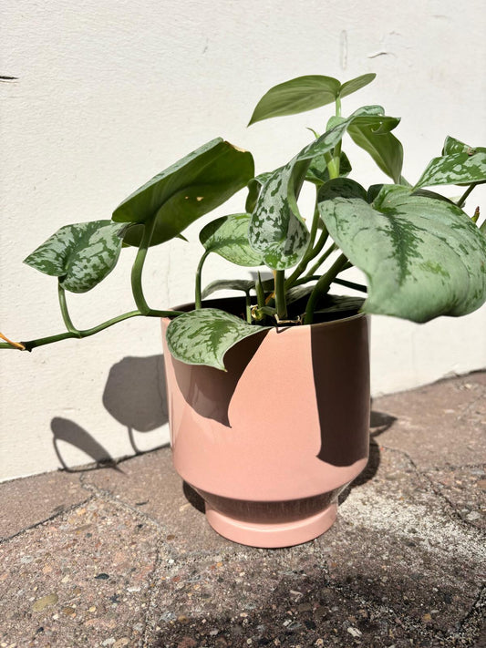 MIRA | Flowerpot