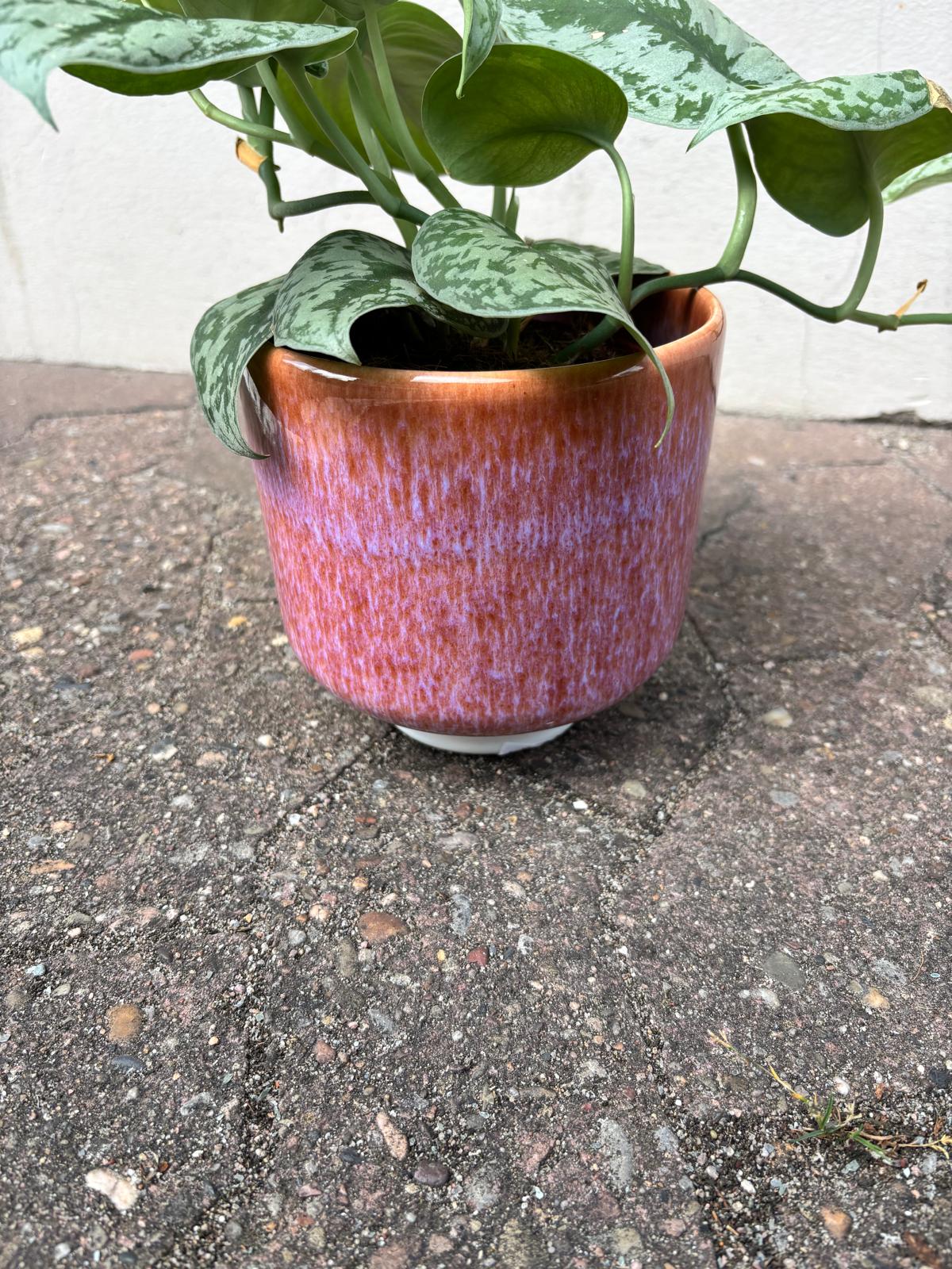 NORI | Blumentopf
