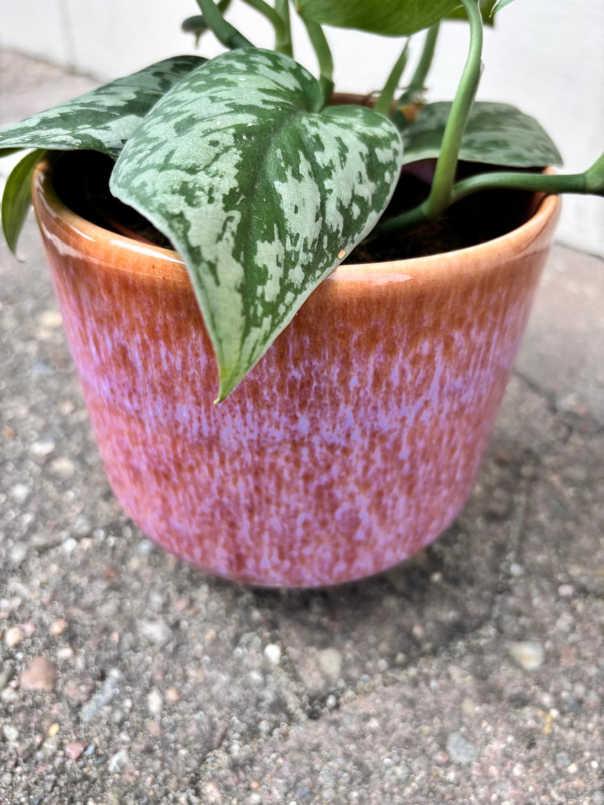 NORI | Blumentopf
