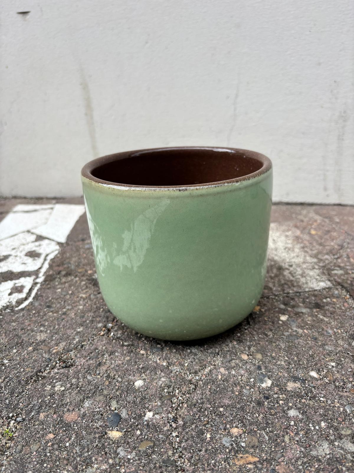 TARO VERT | Pot de fleurs