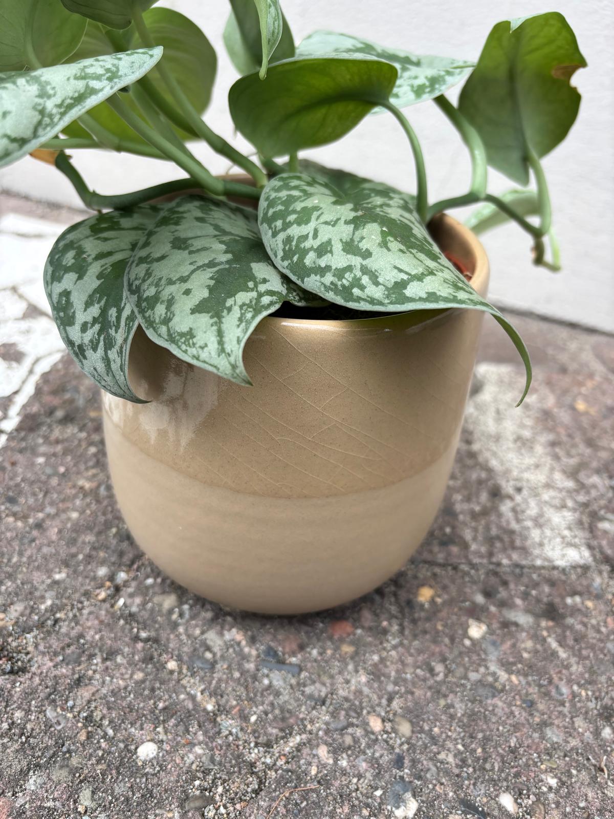 SANDY | Pot de fleurs