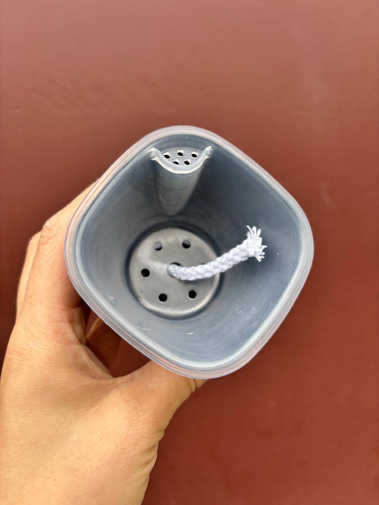 AROID POTS WHITE | Self-watering pots with transparent inner pot