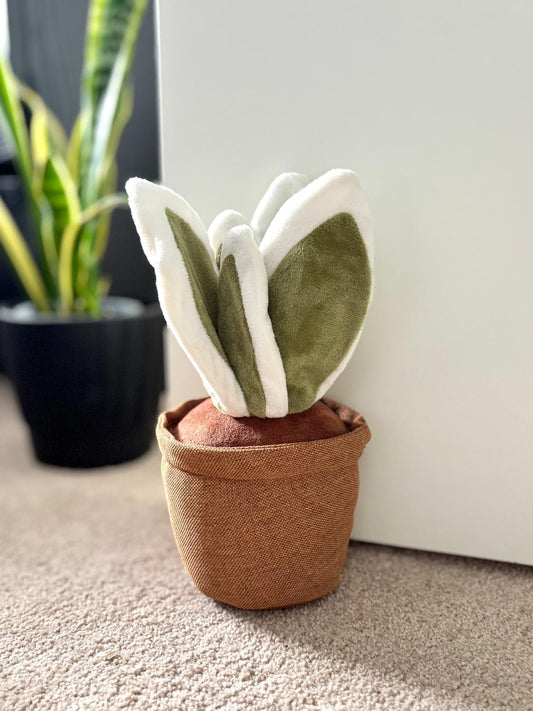 BORIS BOW HEMP | Butée de porte végétale