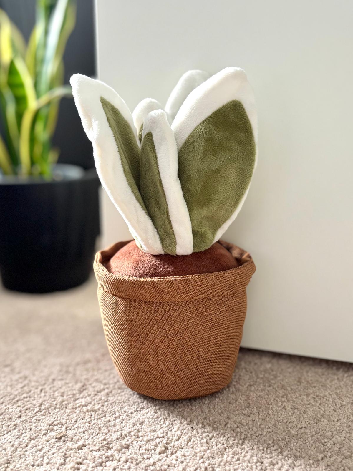 BORIS BOGENHANF | Pflanzen Türstopper