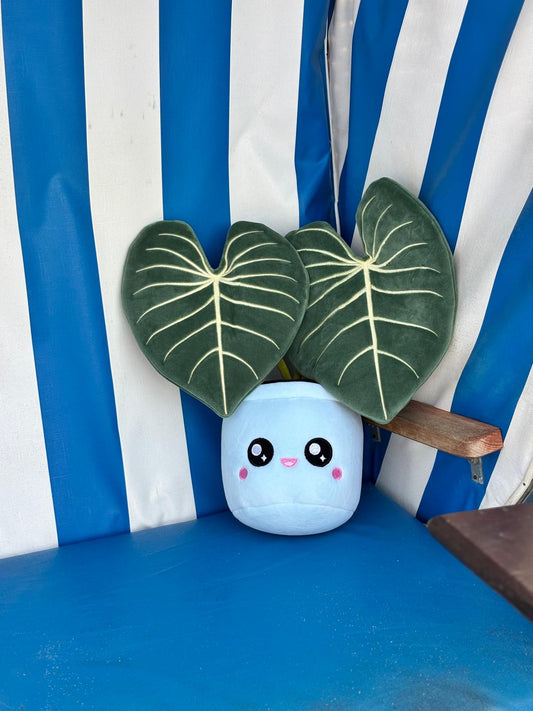 PHILODENDRON GLORIOSUM | Peluche végétale