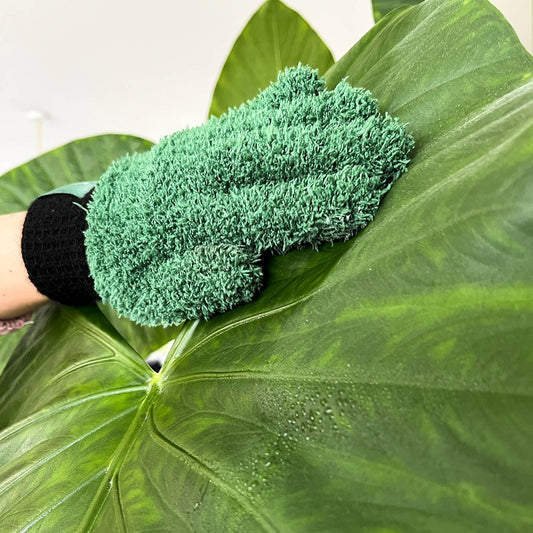 LEAF LOVE | Gants de dépoussiérage pour plantes