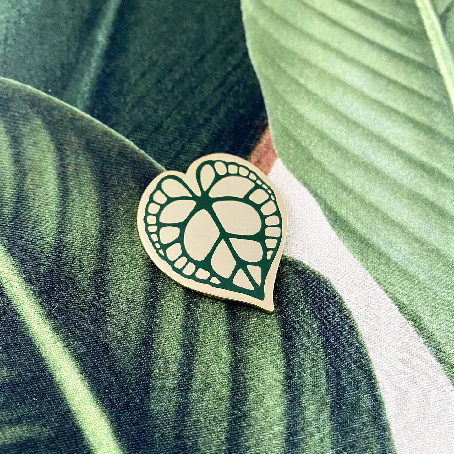 ANTHURIUM CLARINERVIUM | Plant Pin