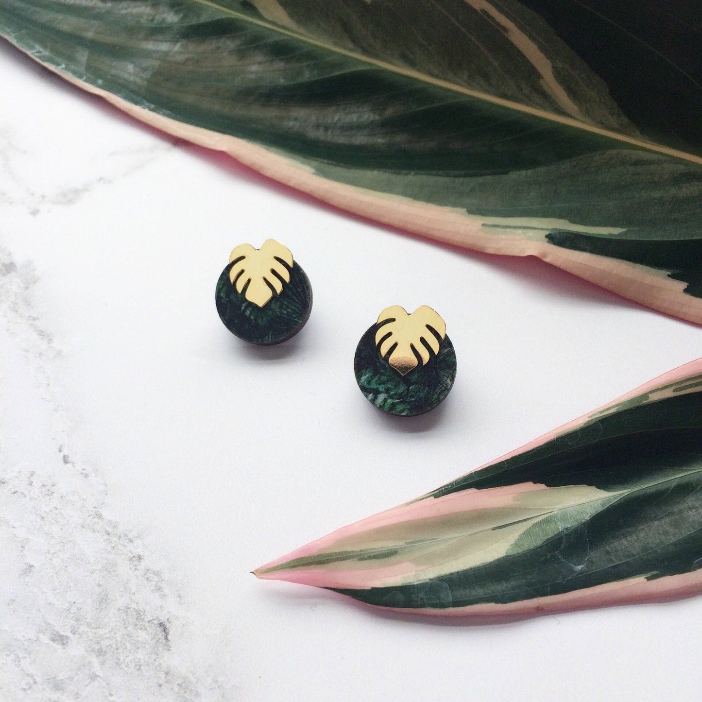 MONSTERA OHRSTECKER GREEN | GOLD