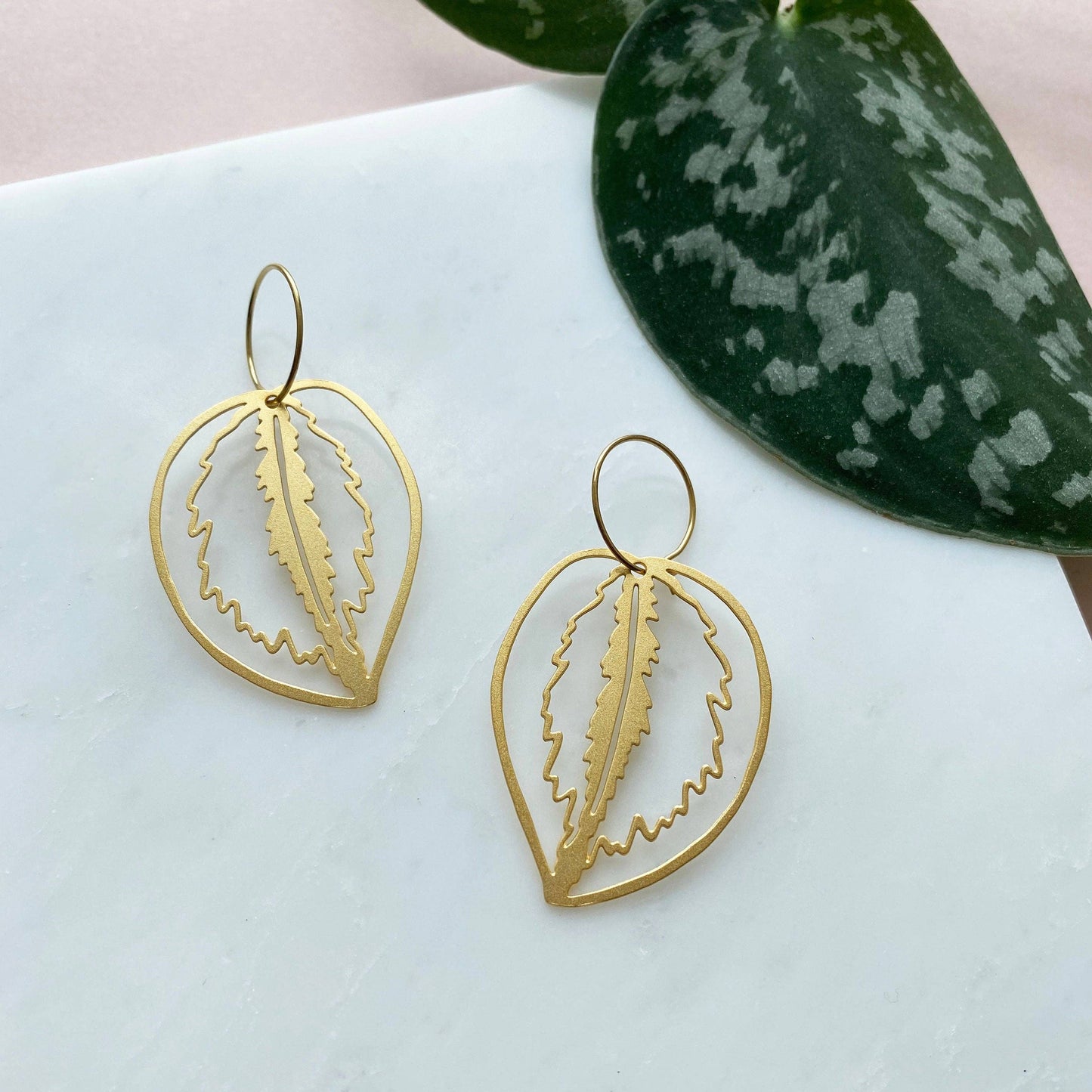 CALATHEA CREOLEN | GOLD