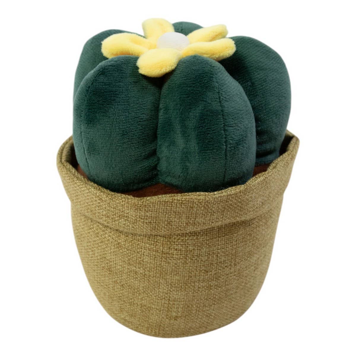 Butoir de porte en cactus