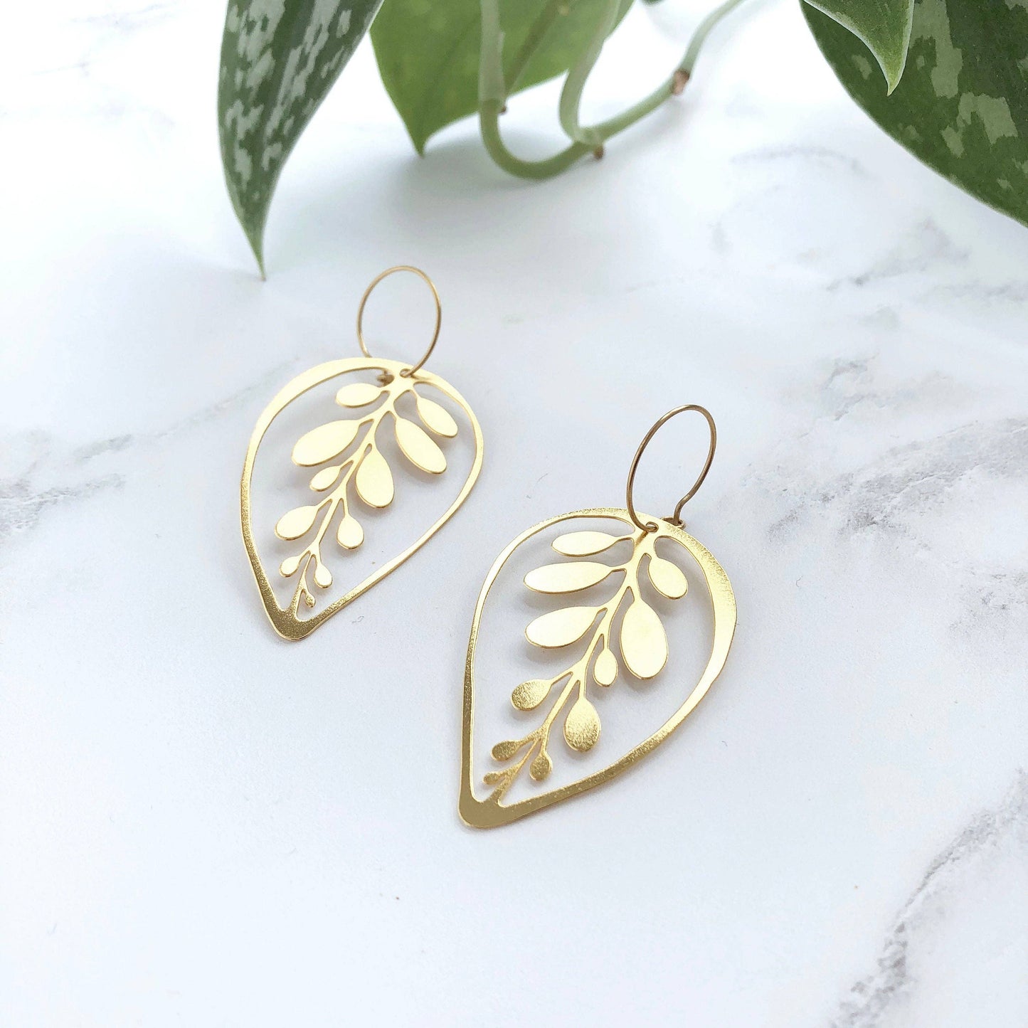 CALATHEA MAKOYANA CREOLEN | GOLD