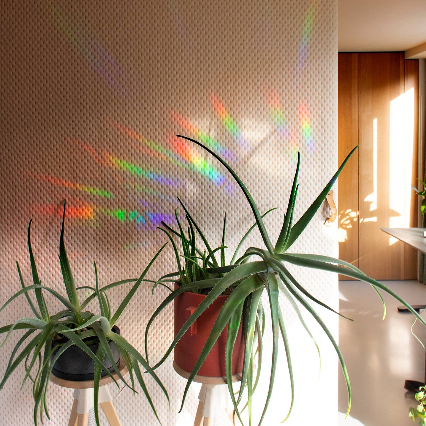 8 MINI WILDBLUMEN STICKER | Suncatcher Sticker für Regenbögen