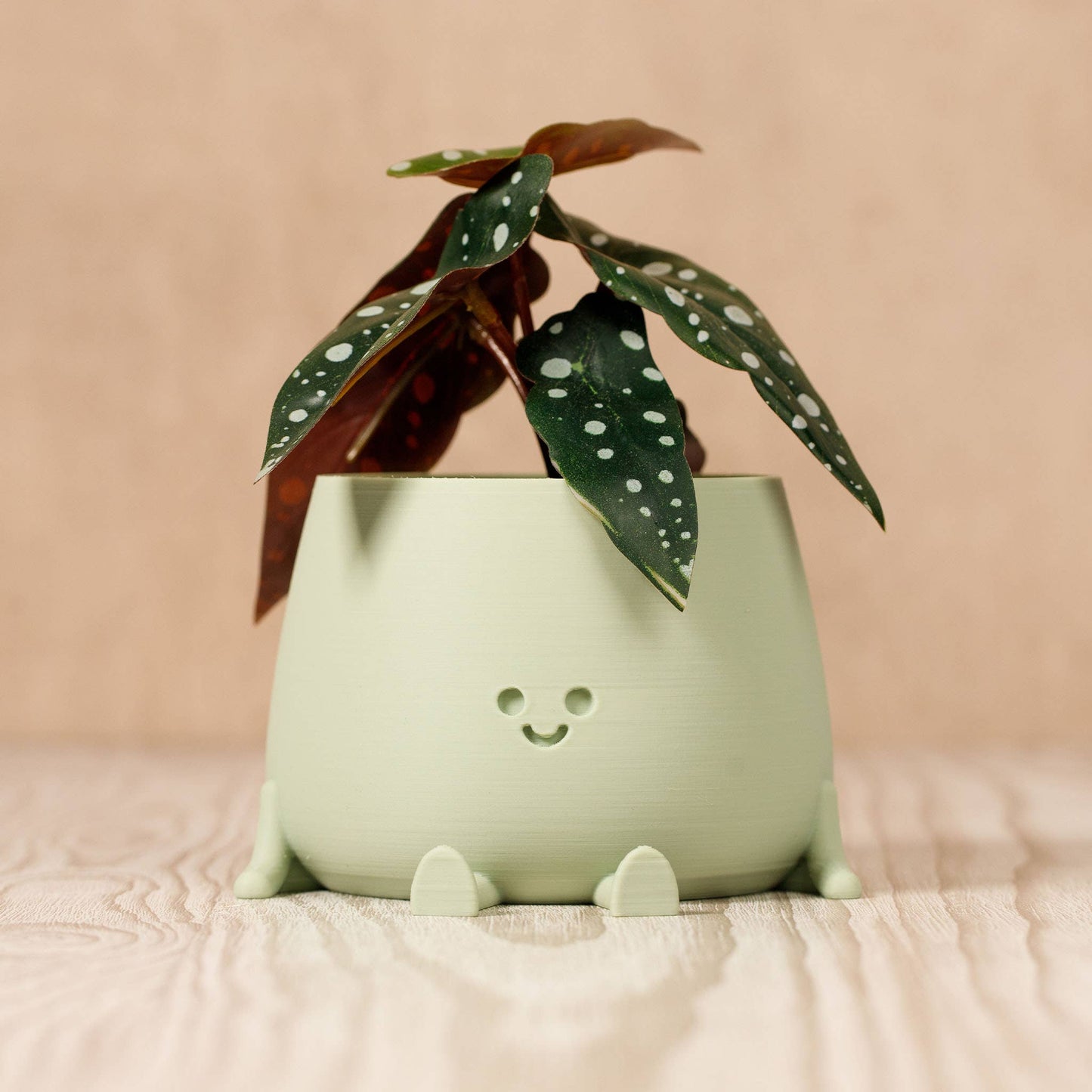 POT DE FLEURS POT HEUREUX | VERT SAUGE