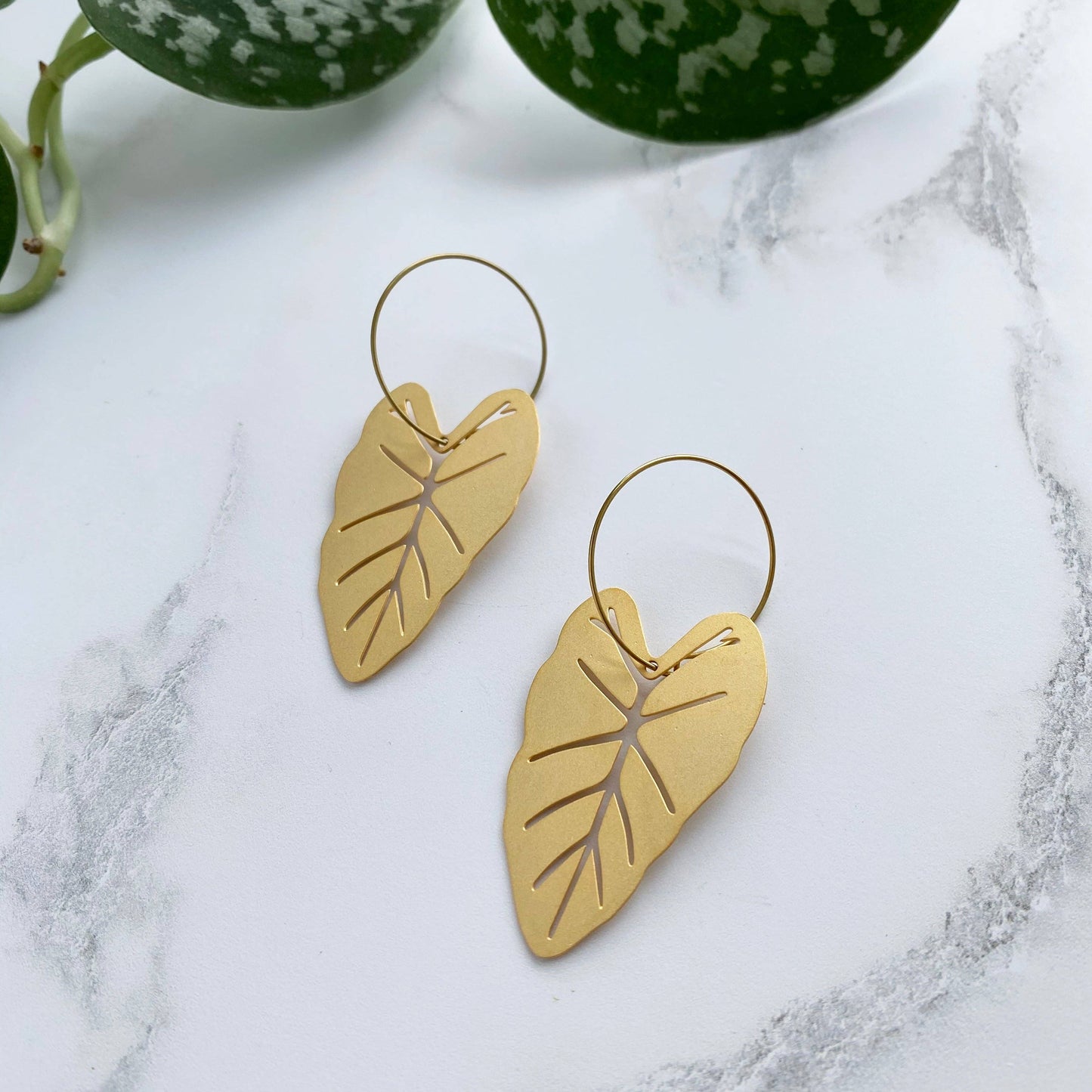 ALOCASIA CREOLEN | GOLD