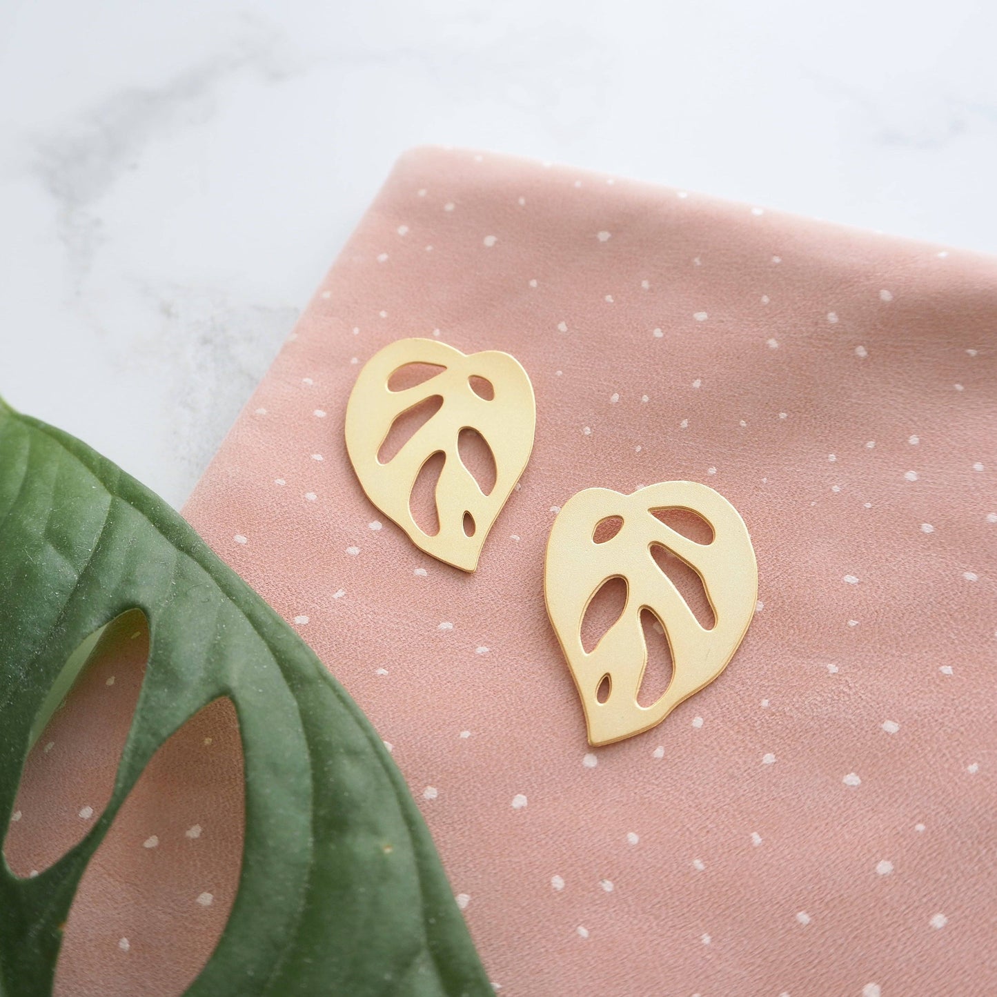 MONSTERA OBLIQUA OHRSTECKER | GOLD