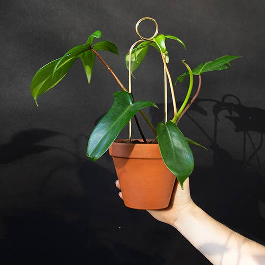 POMPOM | Support à plantes doré en métal inoxydable, hauteur 34 cm