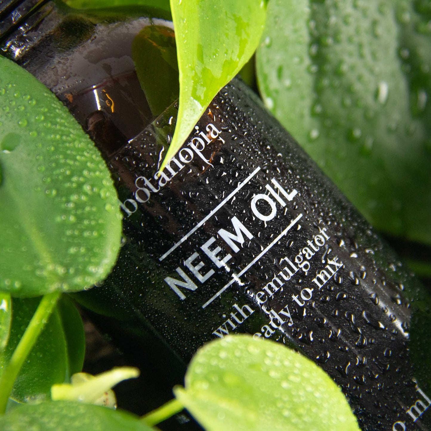 NEEMÖL | NATÜRLICHES INSEKTIZID 100ml