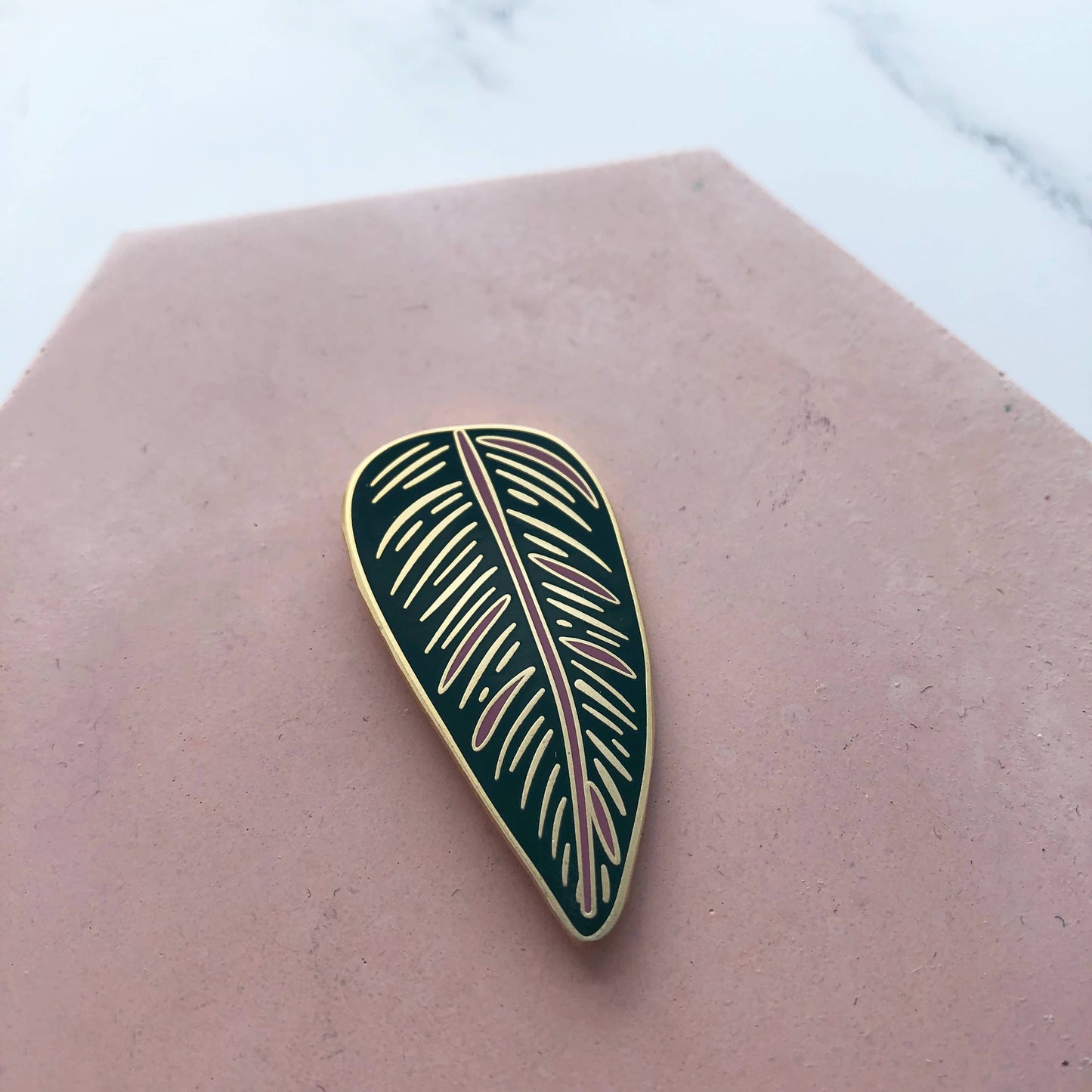 CALATHEA ORNATA | Pflanzen Pin